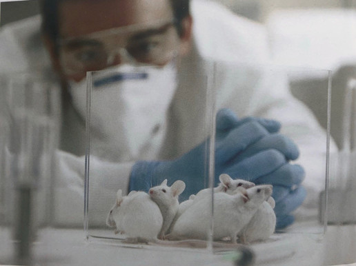 凈化車(chē)間裝修醫(yī)院凈化工程資質(zhì)怎么申請(qǐng)？